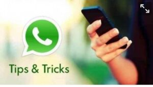 Cara follow up customer lewat whatsapp
