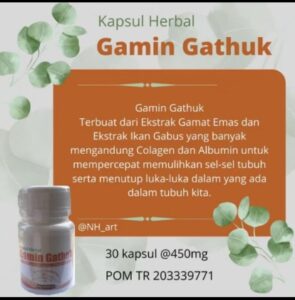 Gamat kapsul Gamin Gatuk